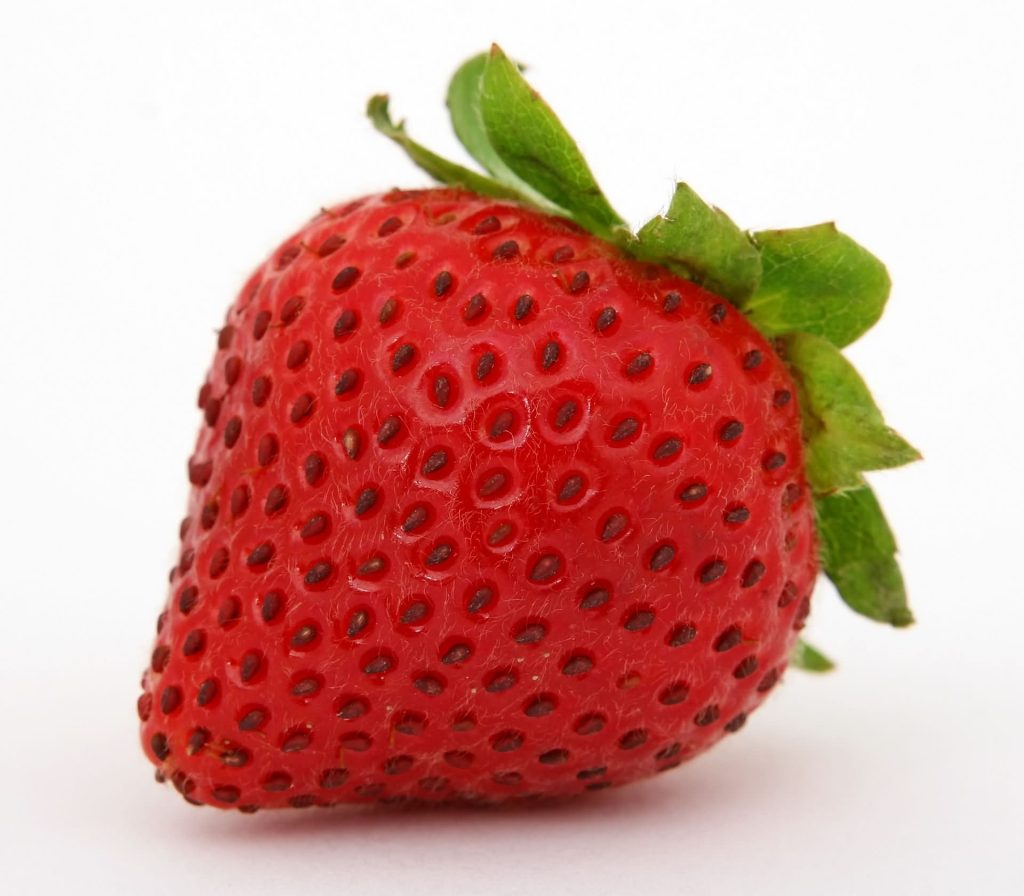 8月种植草莓苗，你要知道以下的田间管理办法
