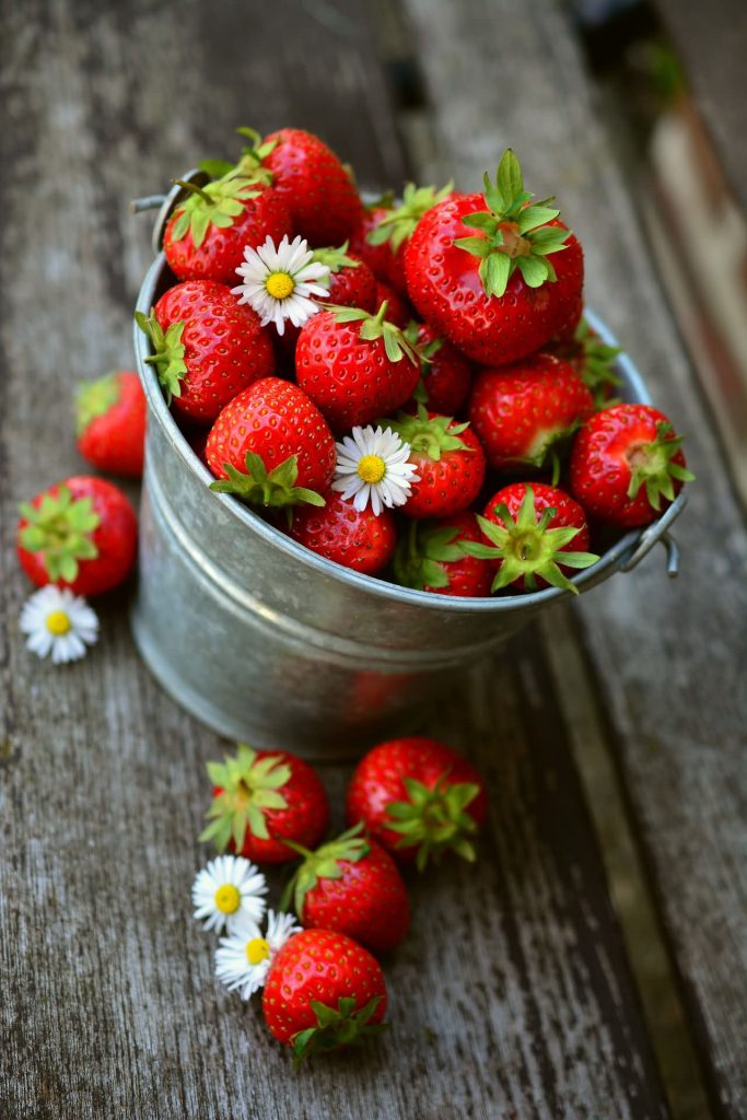 家庭怎样种植好吃的草莓？掌握以下几种方法